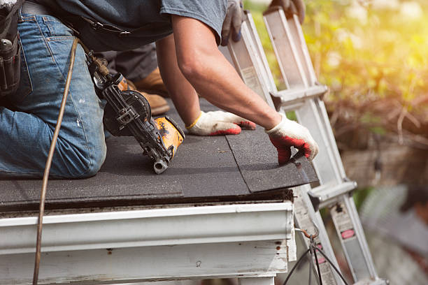 Best Roof Restoration Services  in Leslie, MI